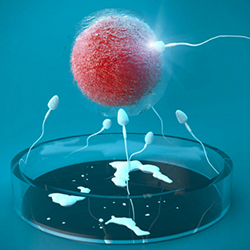 美國試管寶寶激素六項是什么？